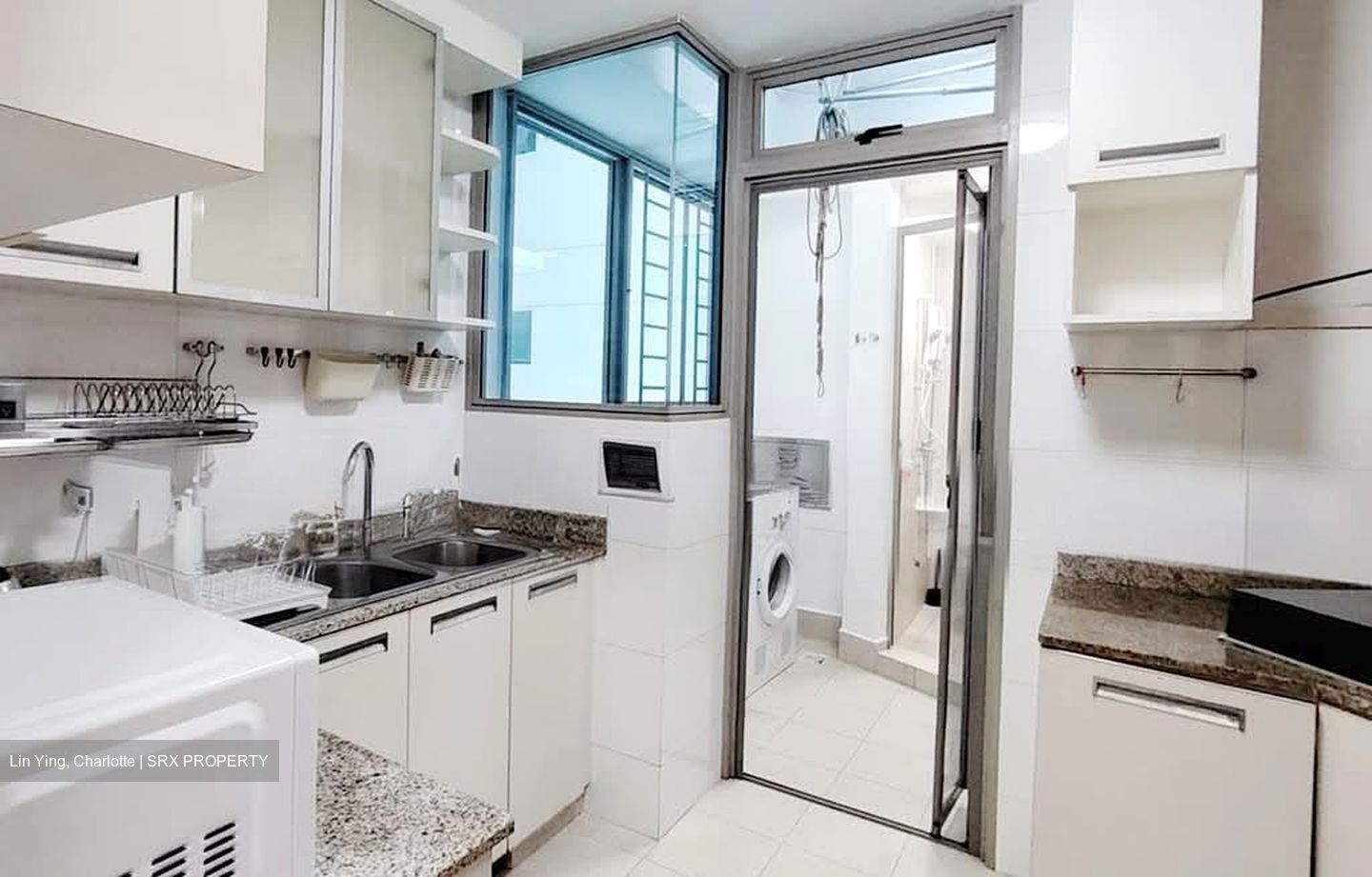 Blue Horizon (D5), Condominium #562082521
